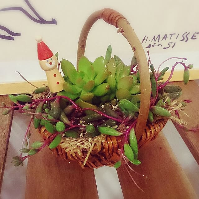 marufukuさんの実例写真