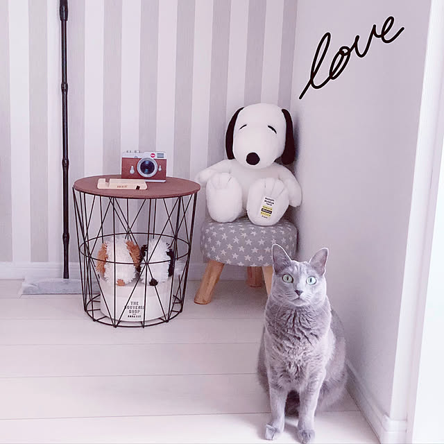 snoopyさんの実例写真