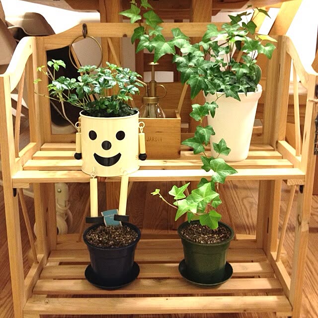 Yokoさんの実例写真