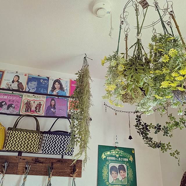 umeboshicyanさんの実例写真