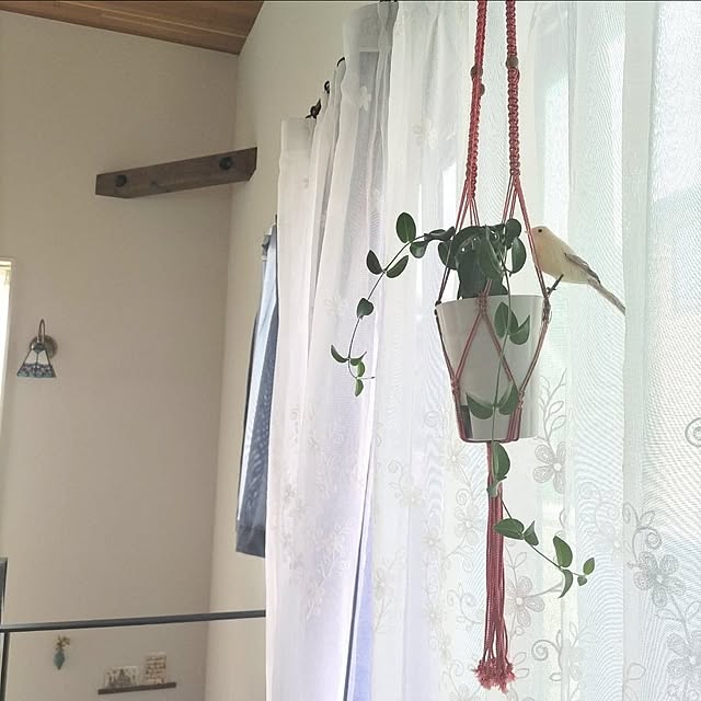 Maroさんの部屋