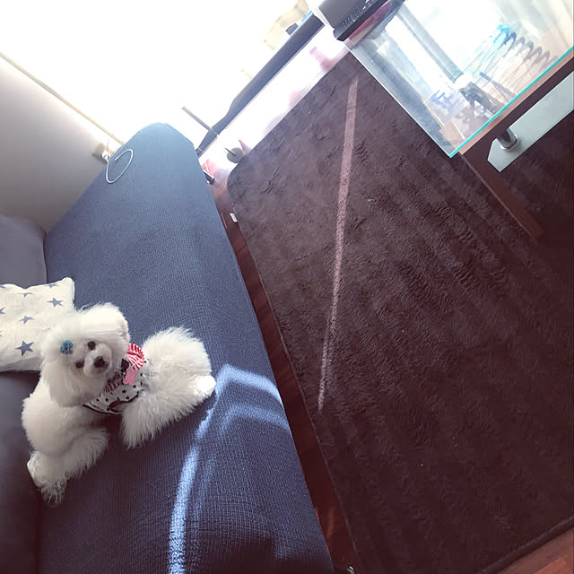 kiraraさんの実例写真
