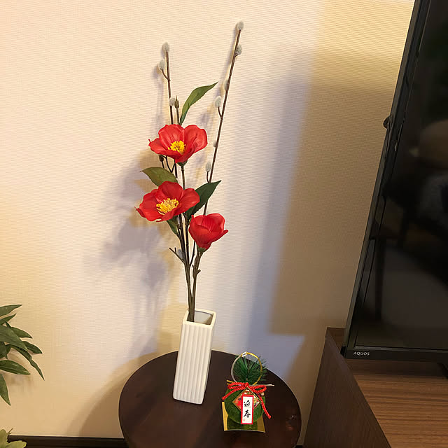 asaさんの実例写真