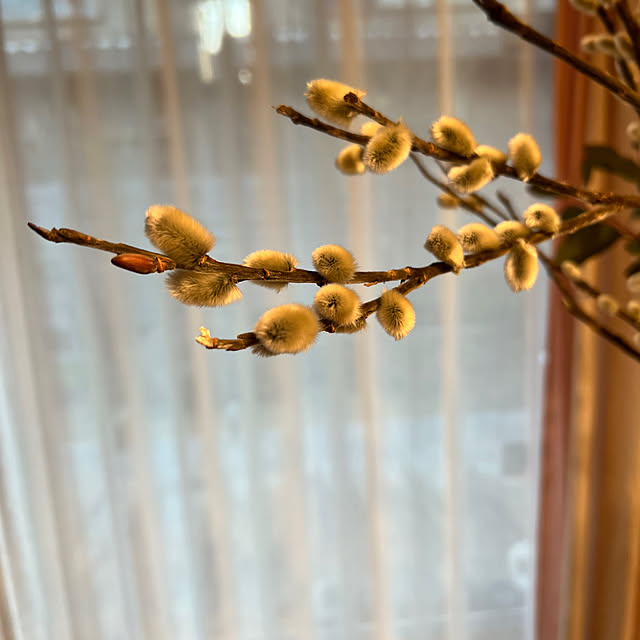 fxs-rrさんの部屋