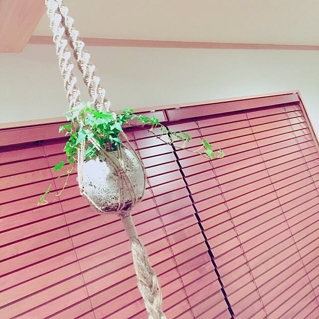 Aiさんの実例写真