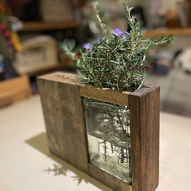 観葉植物/キッチンのインテリア実例 - 2022-10-26 23:14:42