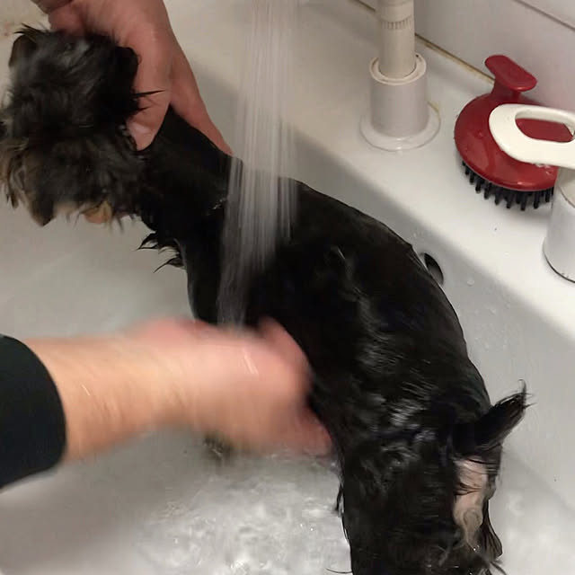 oceanさんの部屋