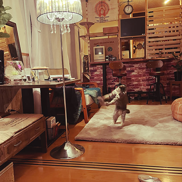Mさんの実例写真