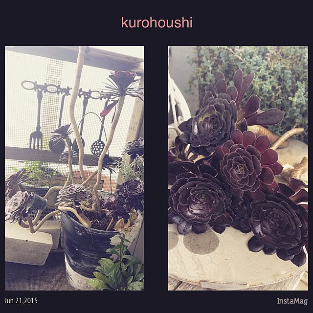 Rinrinfrenchさんの実例写真