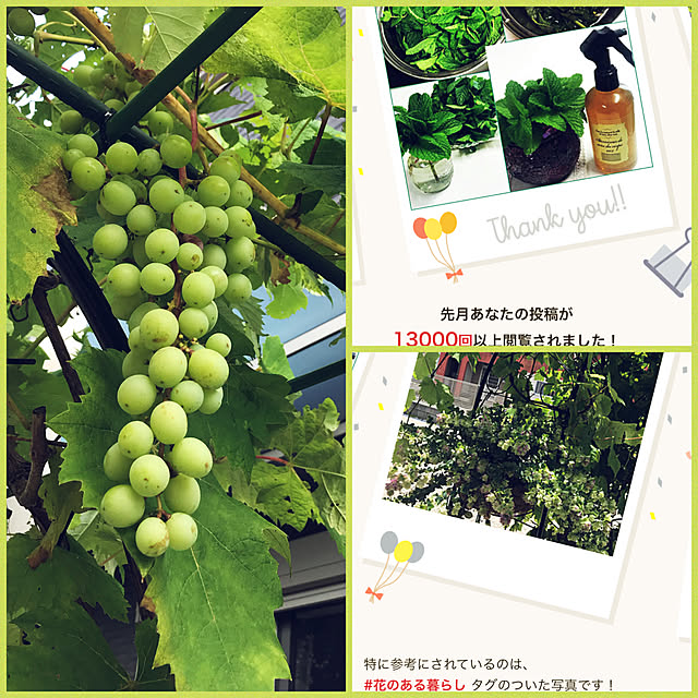 kimuraruさんの実例写真