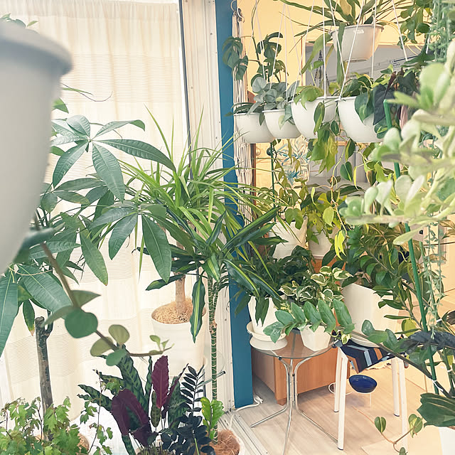 kanakoさんの部屋