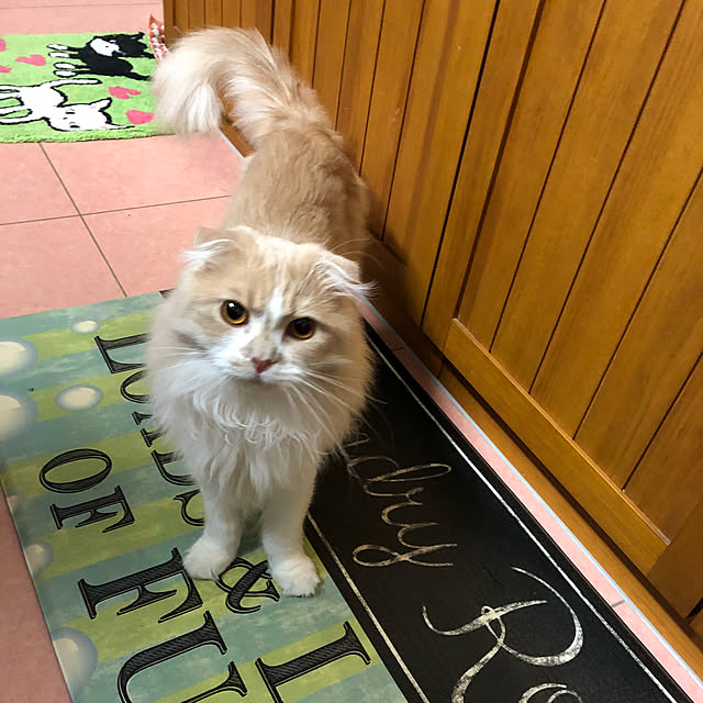 70さんの実例写真