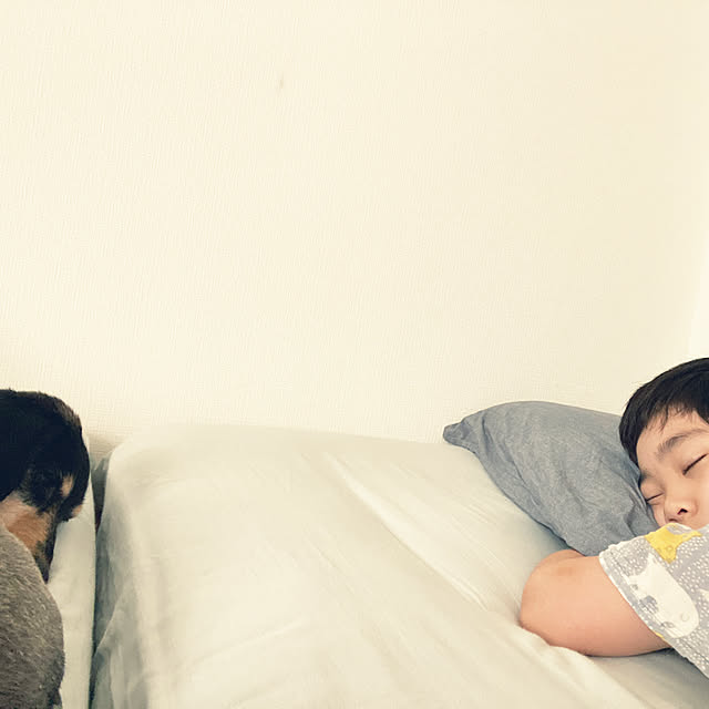 ohanaさんの実例写真