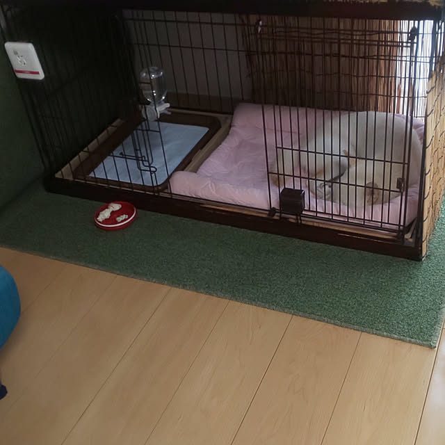 mmpoohさんの実例写真
