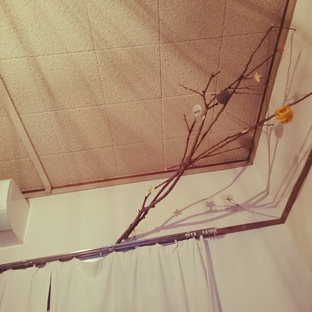 Ayakoさんの実例写真