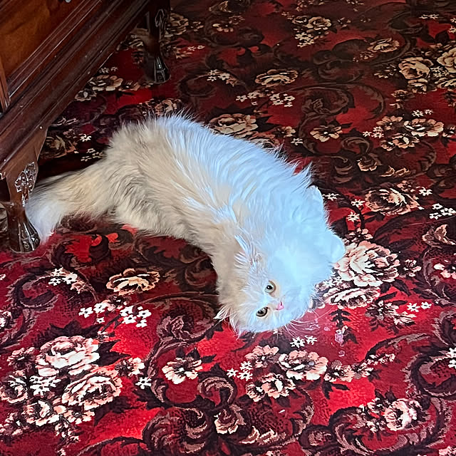 AYUKOさんの部屋