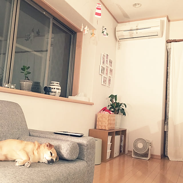 haritakaさんの実例写真