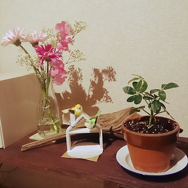 yama36さんの実例写真