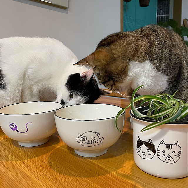 nobikoさんの実例写真
