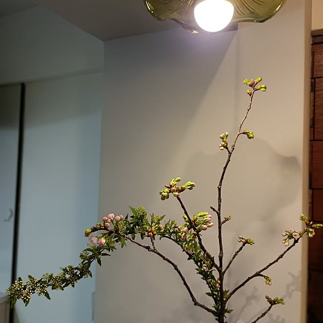 hisaさんの部屋