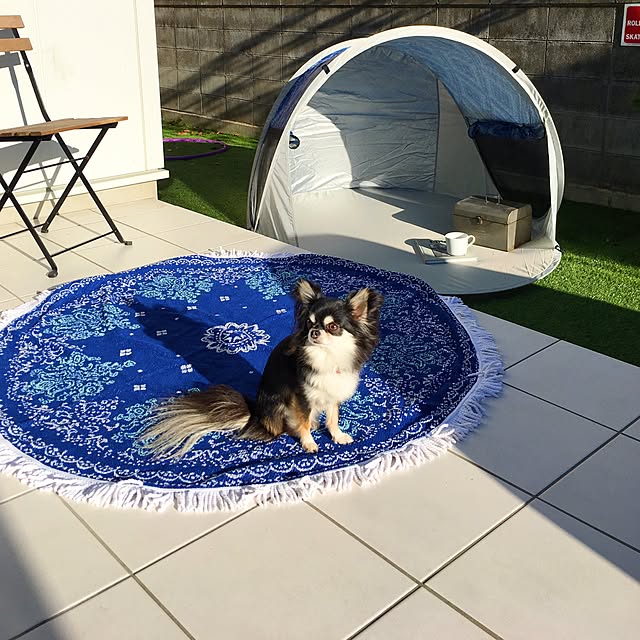 mari.s.homeさんの実例写真