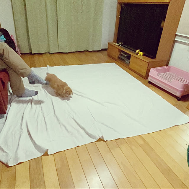 sekosekochanさんの実例写真