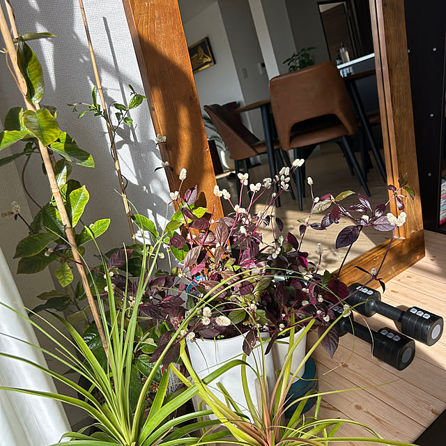 nee_roomさんの部屋