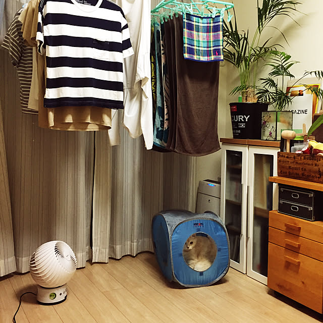 y.k.0123さんの実例写真