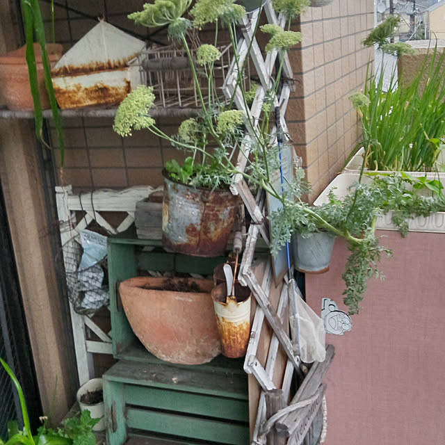 komikaoさんの実例写真