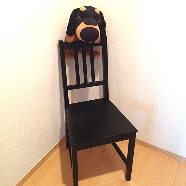 ivyさんの実例写真