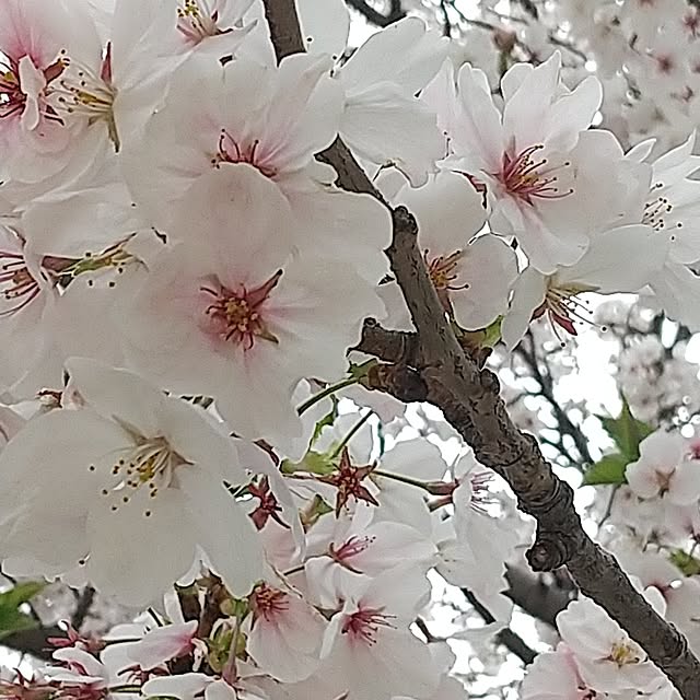 Rさんの部屋