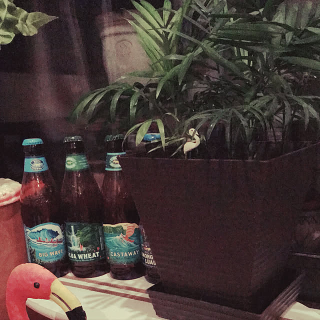 ariceさんの実例写真