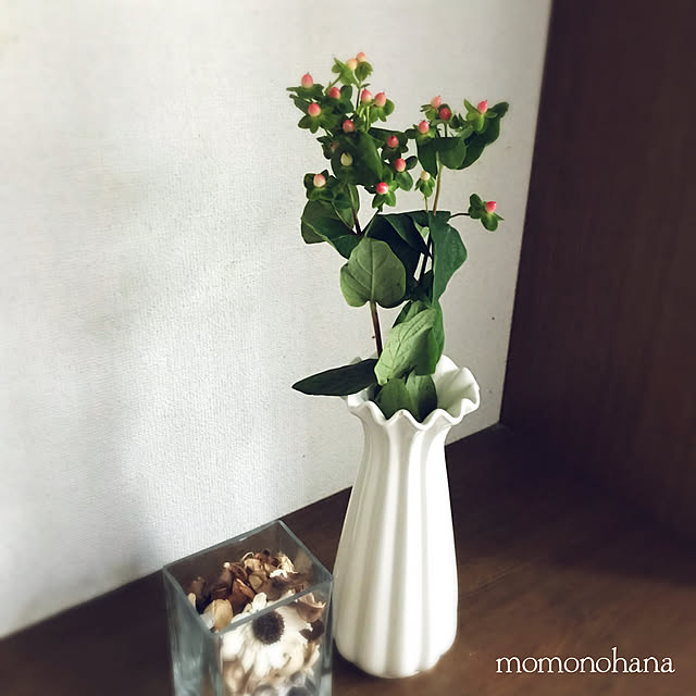 momonohanaさんの実例写真