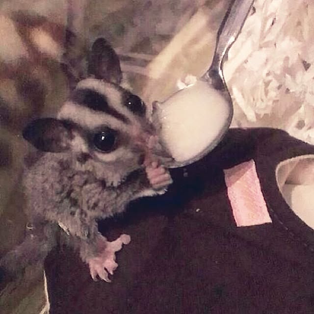 Yasumiさんの実例写真