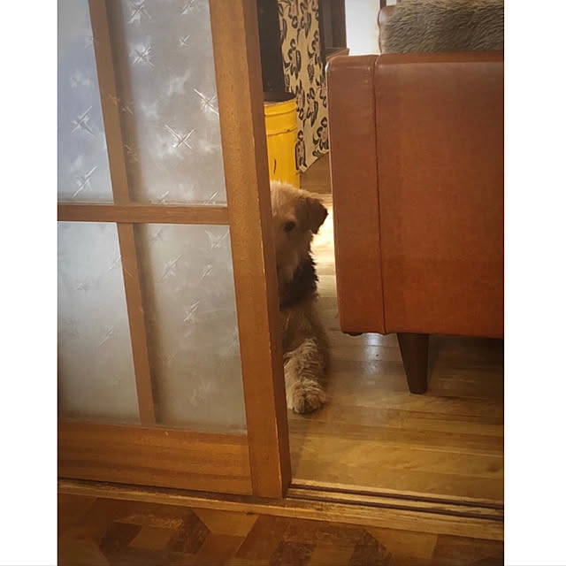 riettaさんの実例写真