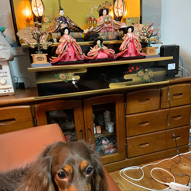 実例写真