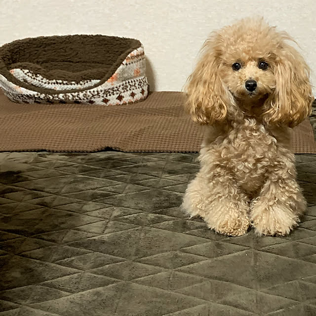 ROSEさんの実例写真