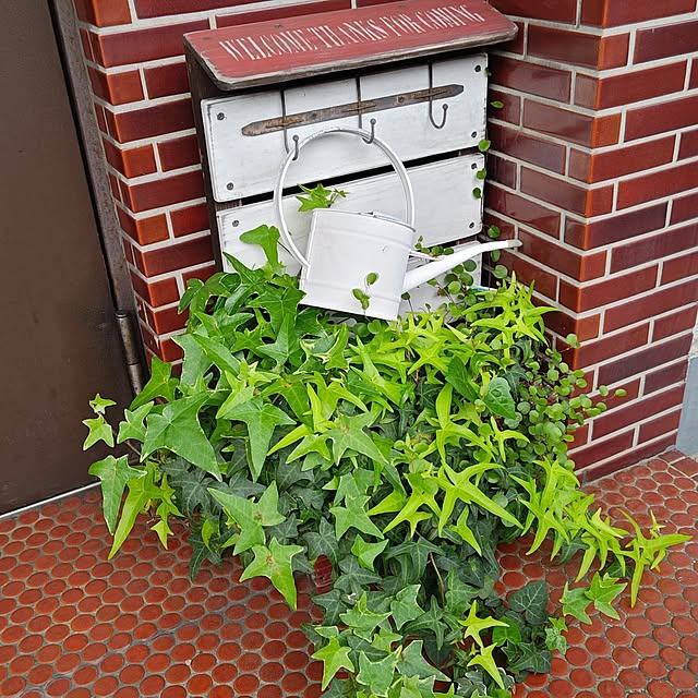 otibi.tt8787さんの実例写真