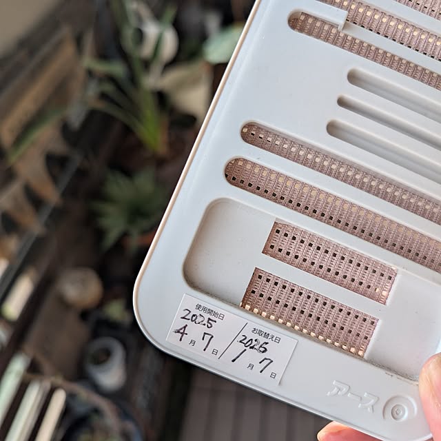 lovepeaceさんの実例写真