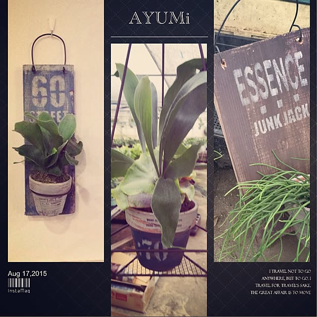 AYUMiさんの実例写真