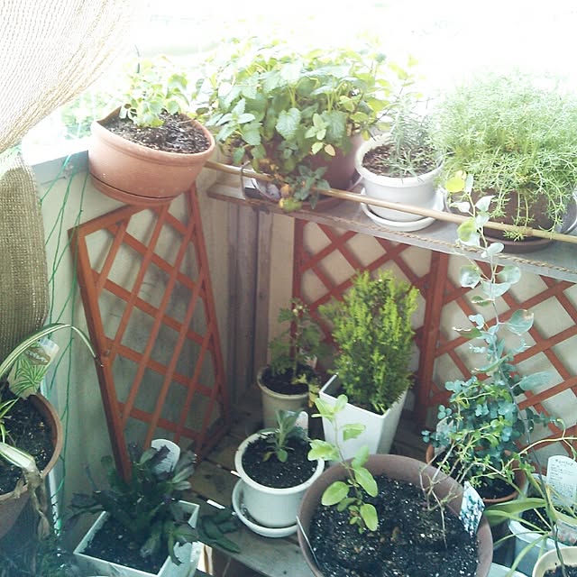 tocoさんの実例写真