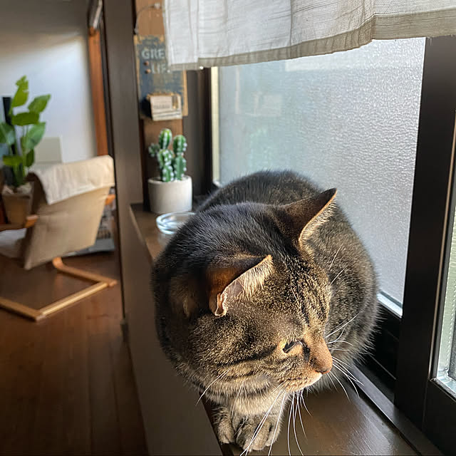 maruさんの実例写真