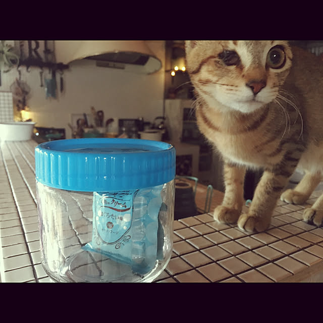 marusanさんの実例写真