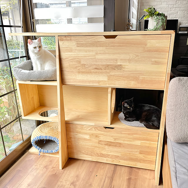 Yukinekoさんの部屋