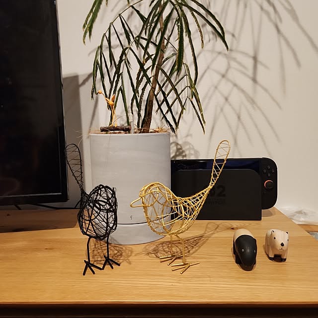 gon_hausさんの実例写真