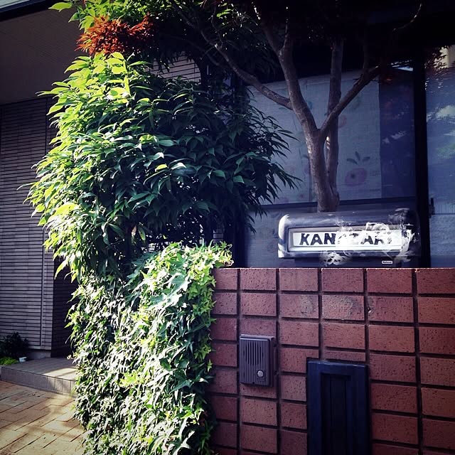 Megamouthさんの実例写真