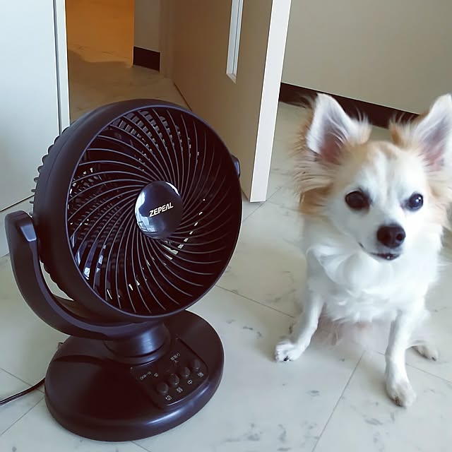 nonさんの実例写真