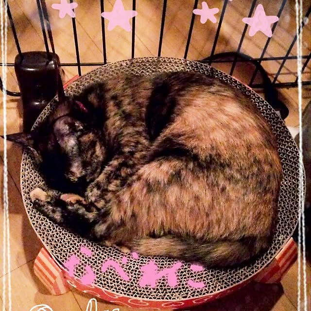 mcomcoさんの実例写真