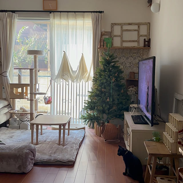 kokkomachaさんの部屋