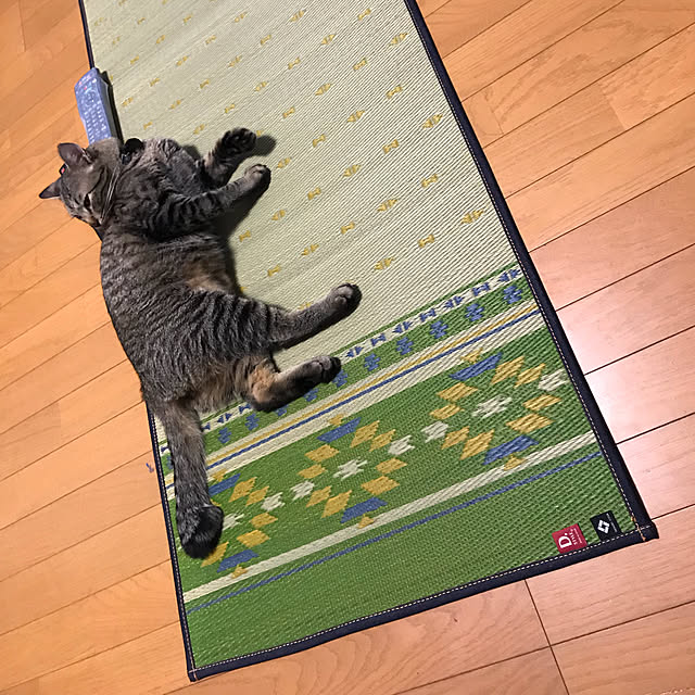 mikan161さんの実例写真
